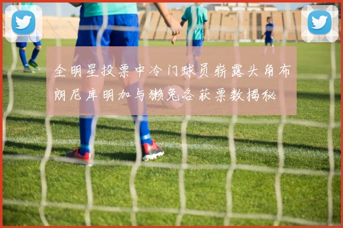全明星投票中冷门球员崭露头角布朗尼库明加与獭兔各获票数揭秘